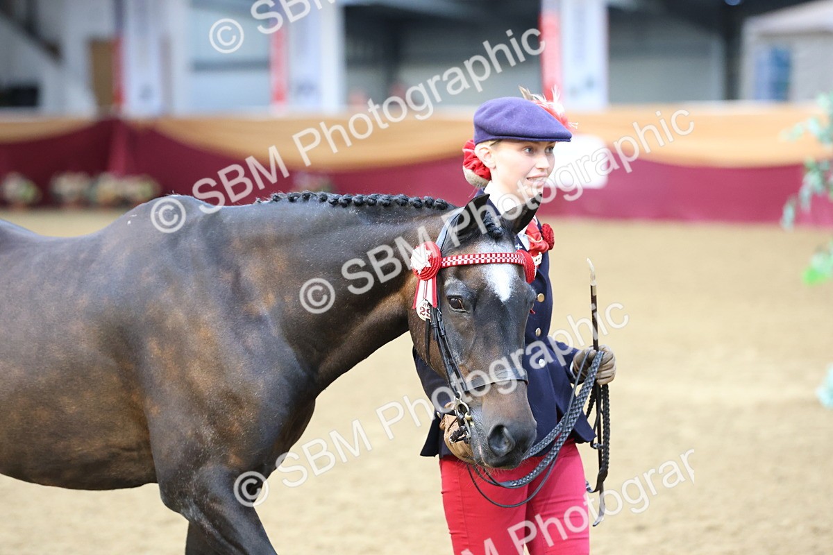 SBM_21851 - Class 901 - Supreme Final - IH  Diamond