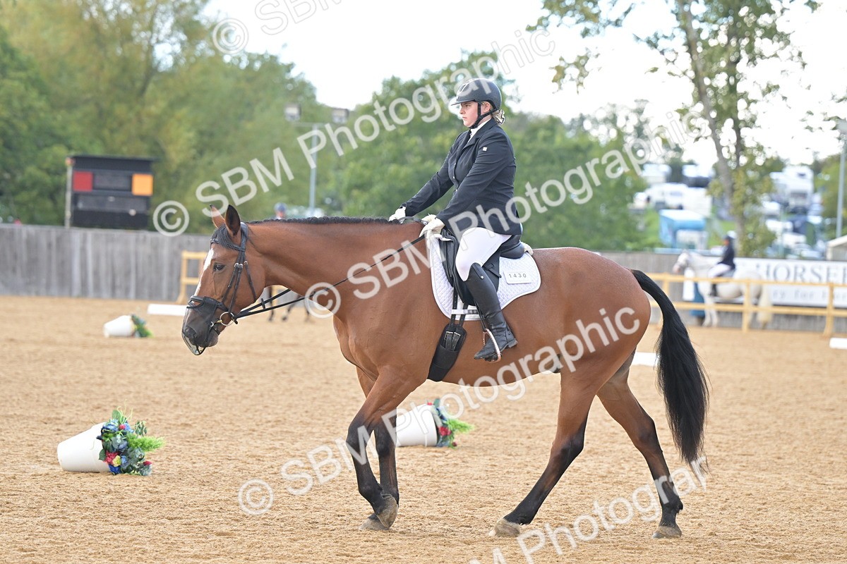 SBM_11262 - D3 - Small Tour Championship Intro 3