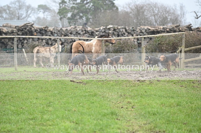 WJ6_5875 - Camera A
