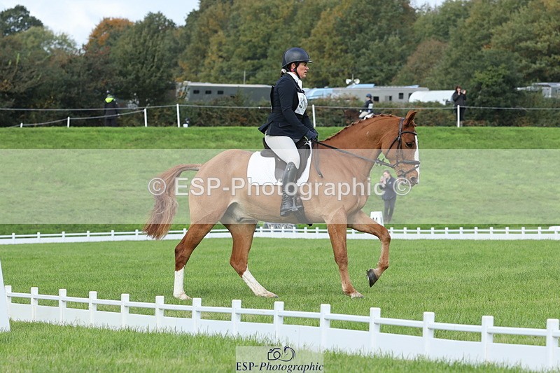 251023A-104958-03238 - D-310-Emily.R.Vincent