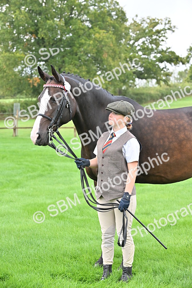 SBM_32638 - S15 - Top Turnout In Hand