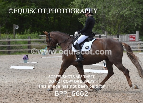 BPP_6662 - 33 N BAXTER