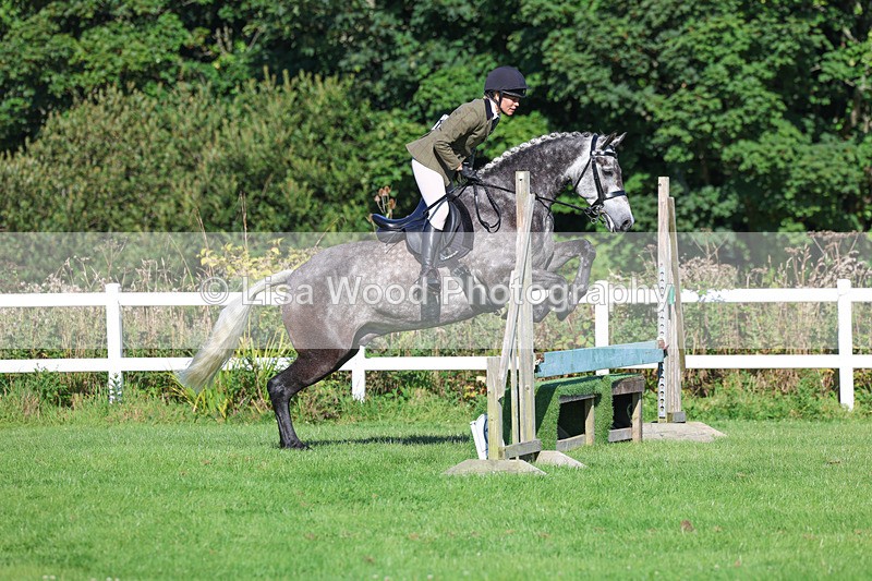 3E7A7765 - Class 2: Open Working Hunter pony
