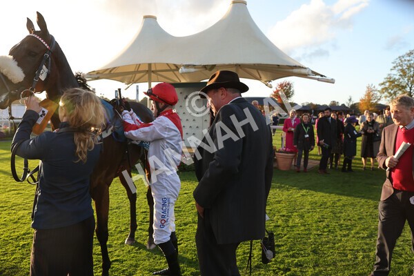 yr07102022r7-45 - Race 7 5.35pm IRE Incentive, It Pays To Buy Irish Stakes