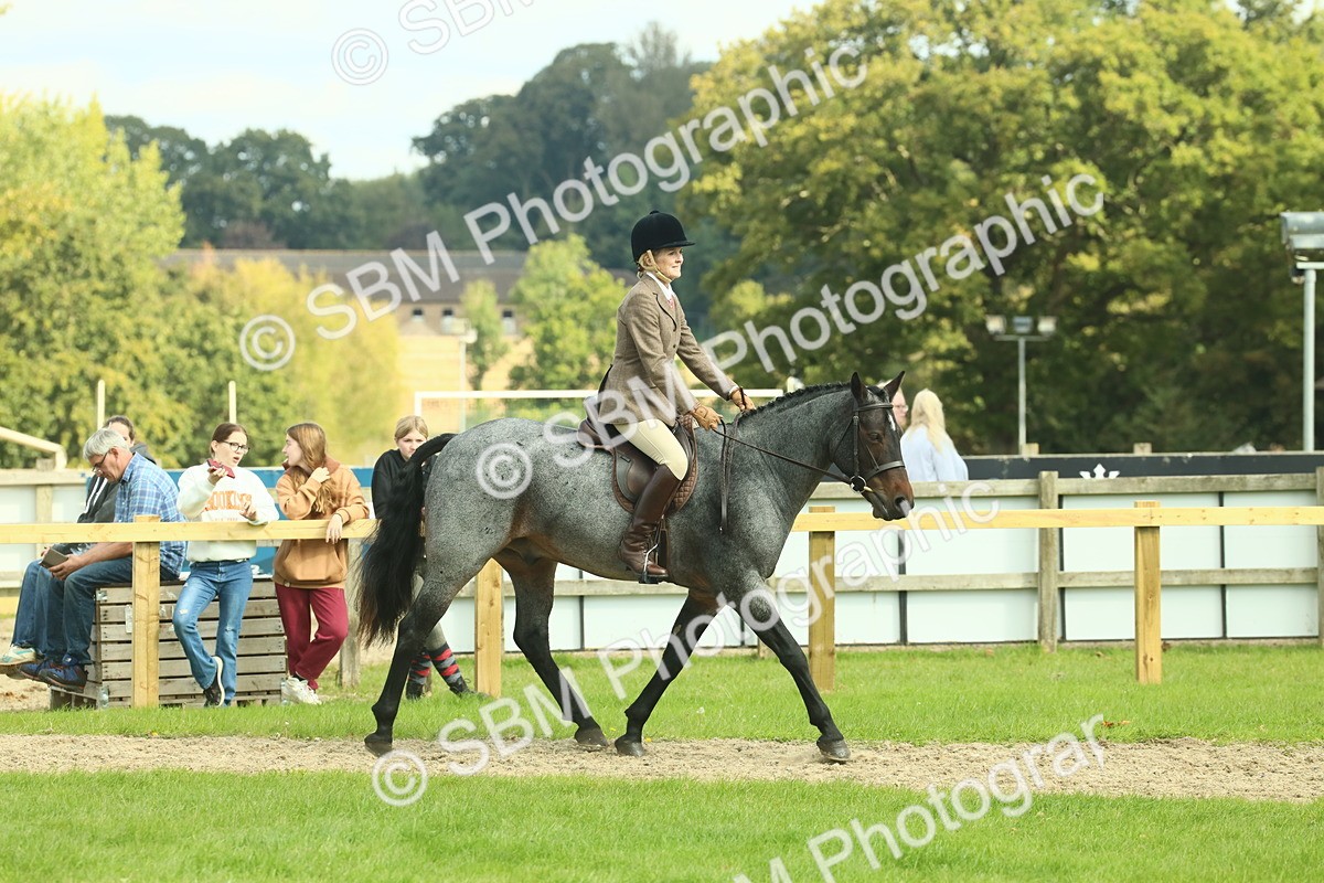 SBM_62605 - S63 - Other Coloured Horse Ridden
