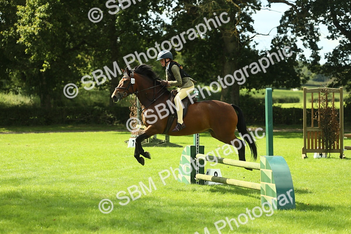SBM_42995 - S30 - M&M Working hunter Pony