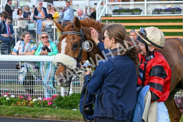 140625-Race 7-Kats Bob-4049 - Race 7 5.20pm Bosun's Restaurant Handicap