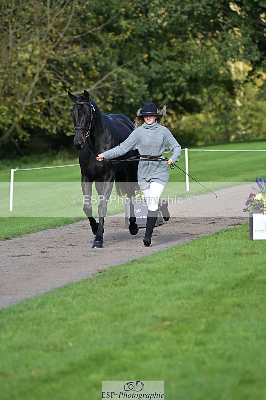 241023-130213-00032 - 002-Ellie.Fredericks-BRITANNIA'S.OLIVE