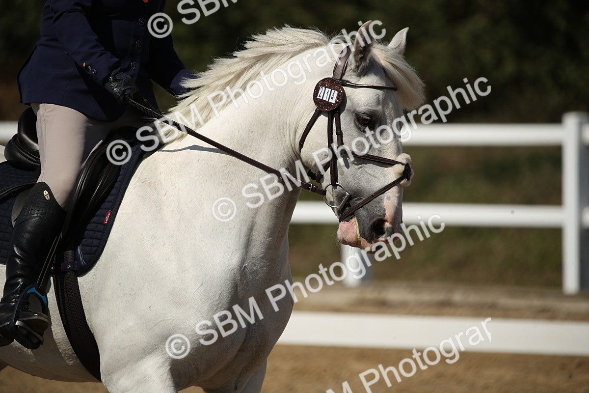SBM_005794 - Class 11 - Novice 5 - 13.19-14.22
