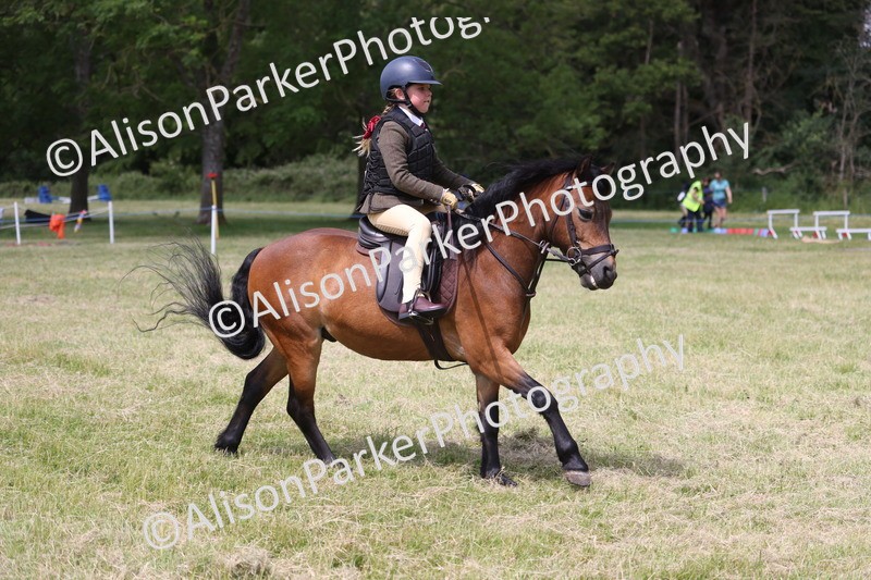 20260614-1818 - Class 21 - Novice Working Hunter Pony