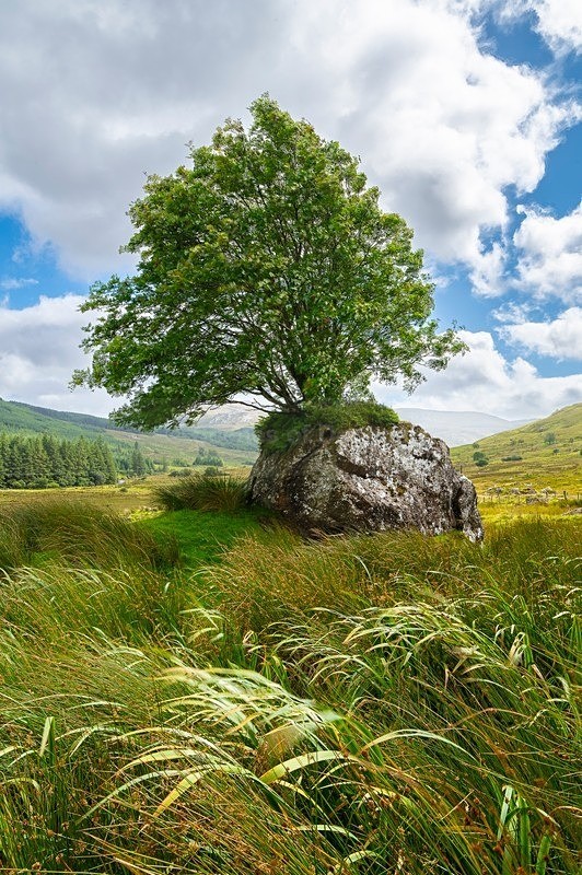 MF2_6672-HDR - Other Areas of Inland Donegal