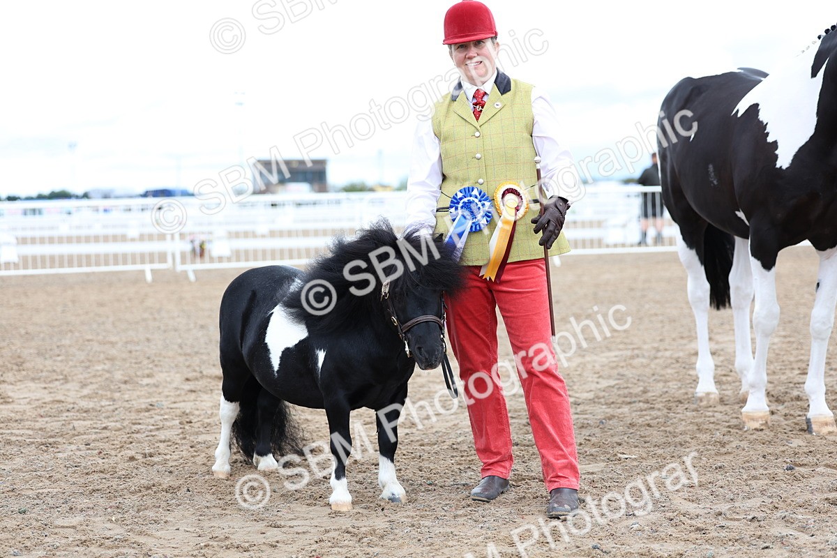 SBM_00324 - Class 15 - IH Coloured