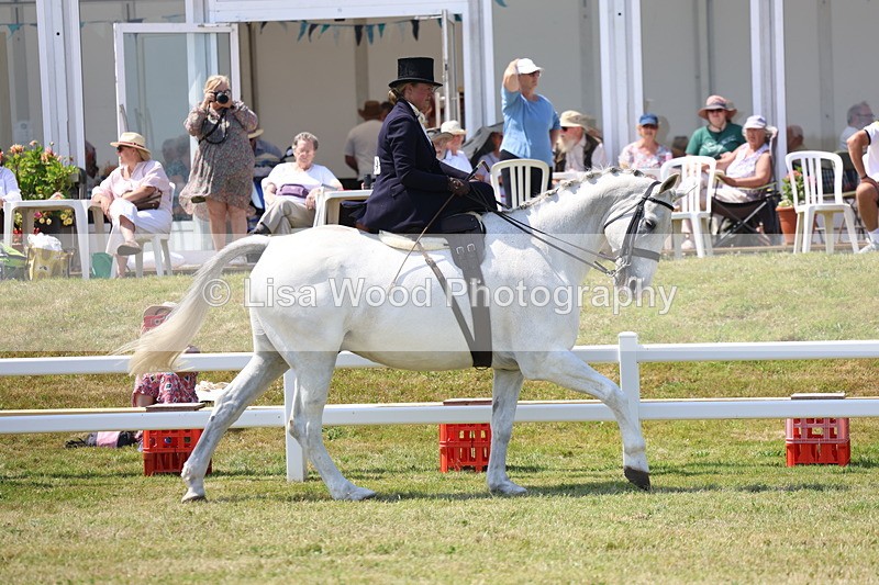3E7A9609 - Class 13: Side Saddle