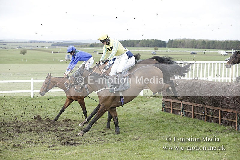 PtP 150320 0681 - New Forest Point-to-Point Larkhill 15/03/20