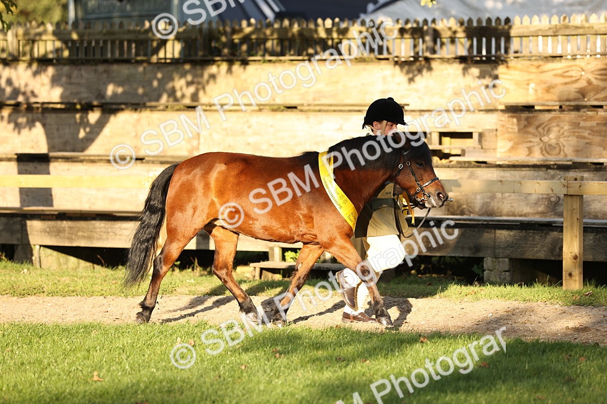 SBM_30120 - Novice & Newcomers Supreme Championship