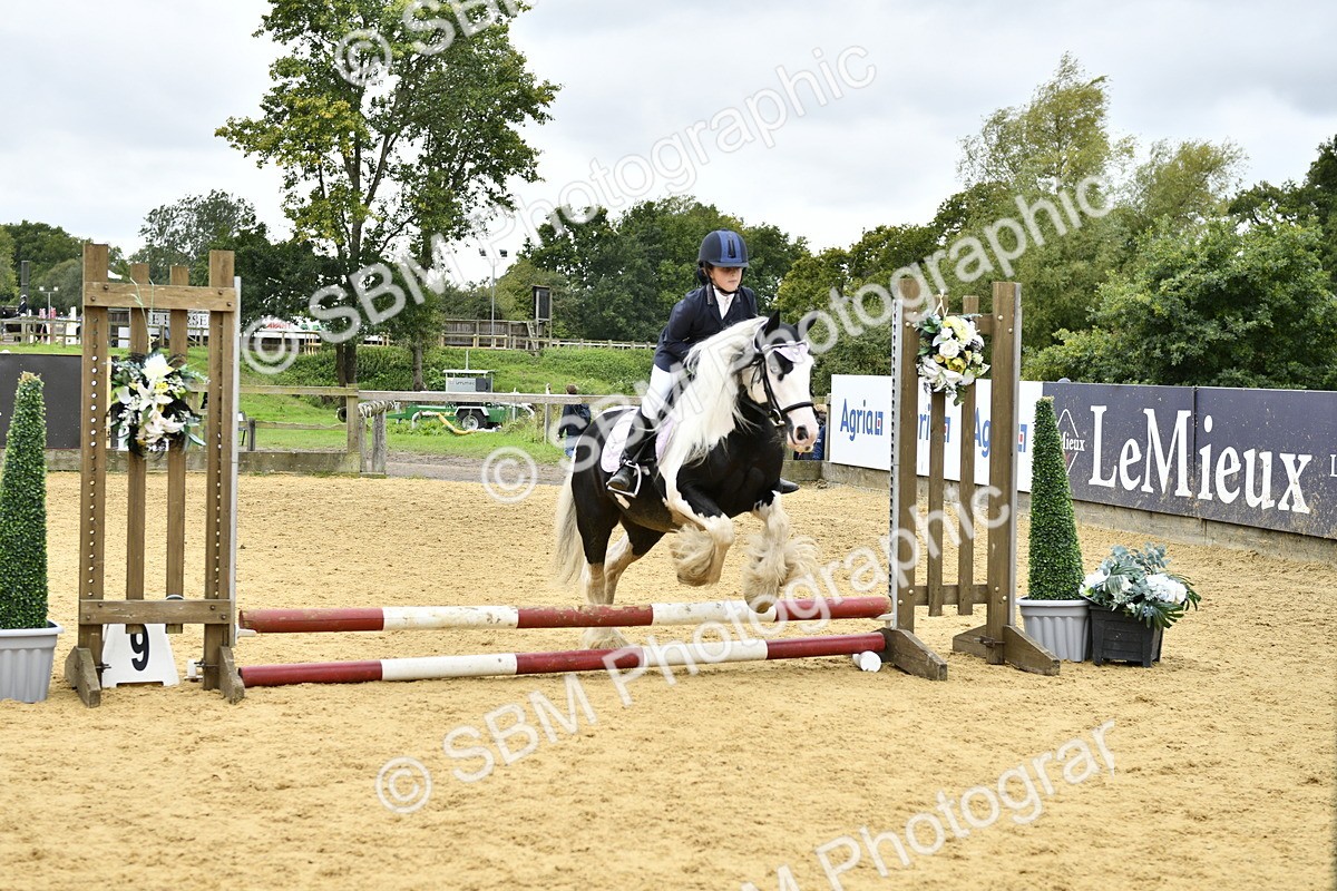 SBM_67951 - J2b - Mini Tour Junior Pony 30cm championship