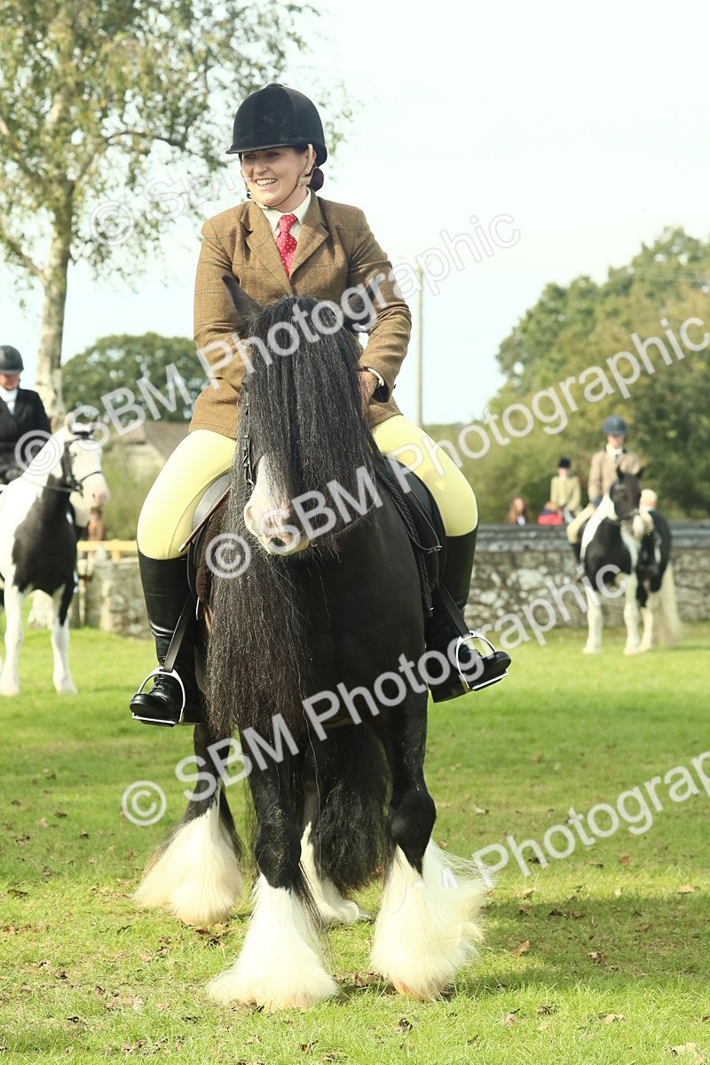 SBM_66736 - S34 - Rehabilitated Rescue Horse & Pony In Hand & Ridden
