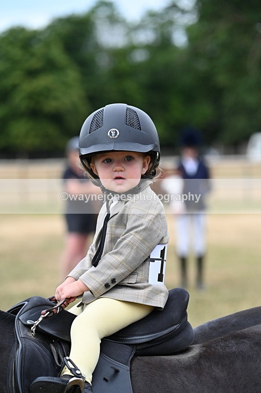 WJ7_9850 - Class 1 Lead Rein Pony