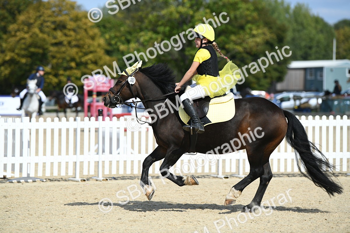 SBM_64774 - J48 - Pairs Jumping Open 70cm & 85cm