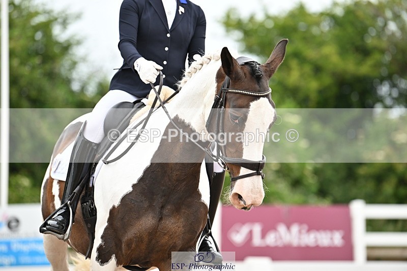 240623A-150000-19478 - Cls 51 BD Elementary 53