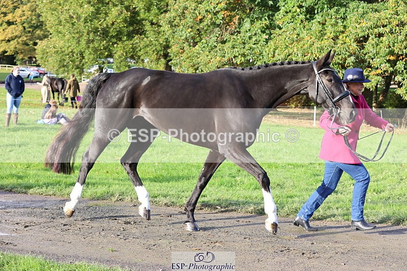 251026A-095327-22556 - D-315-Georgina.Marks