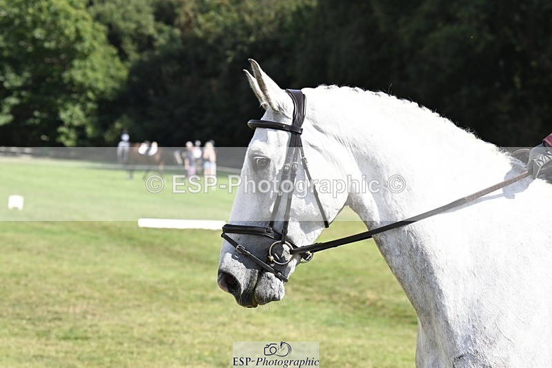 250822A-111316-22159 - DR 11.00 to 12.00