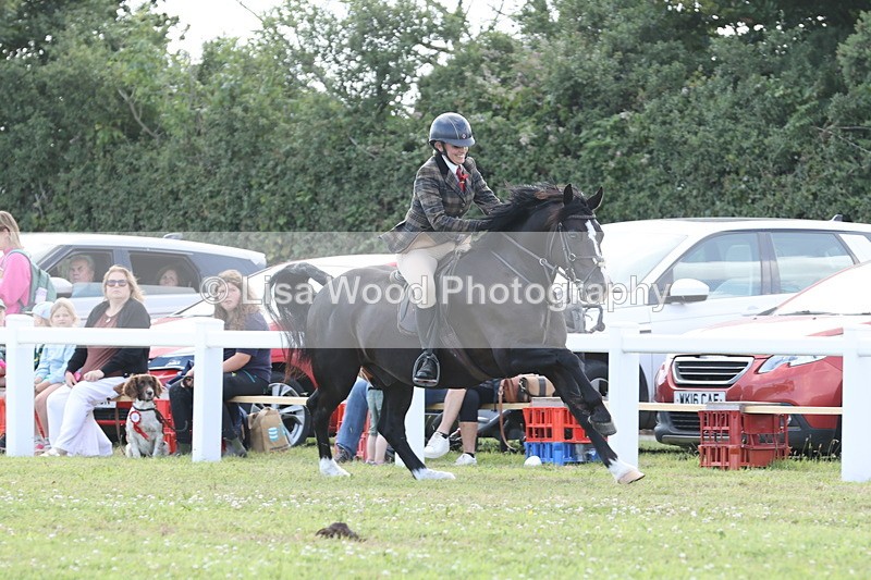 JPP_2355 - Class 19: Working Hunter 60cm