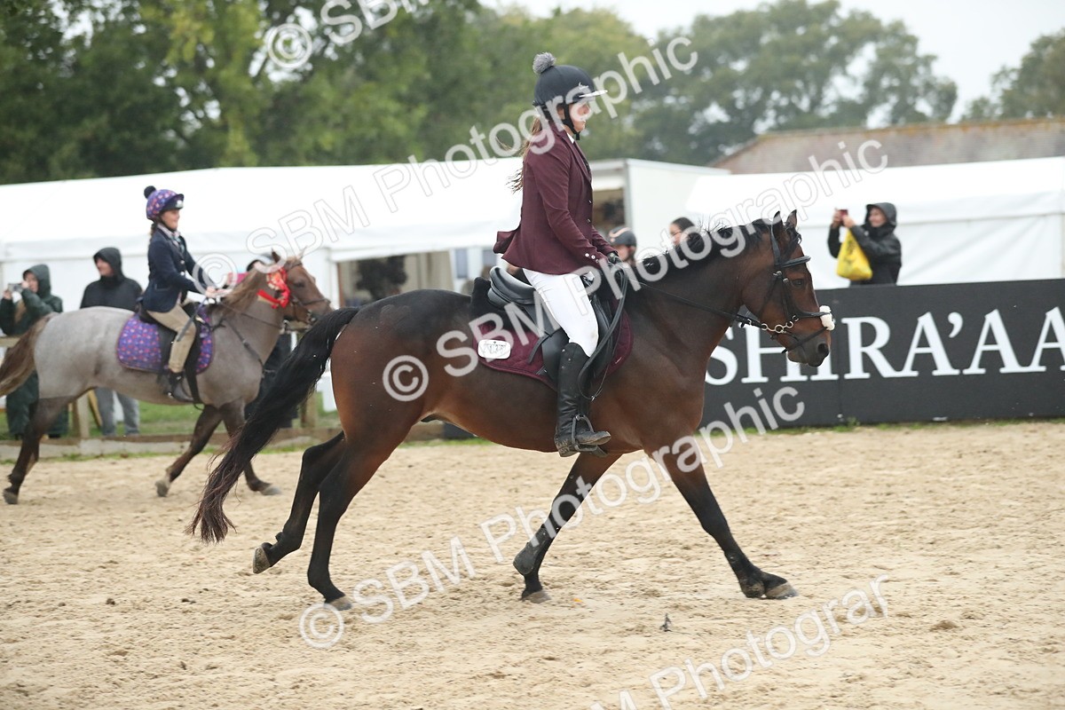 SBM_74348 - Supreme championship Junior Pony 70cm 75cm