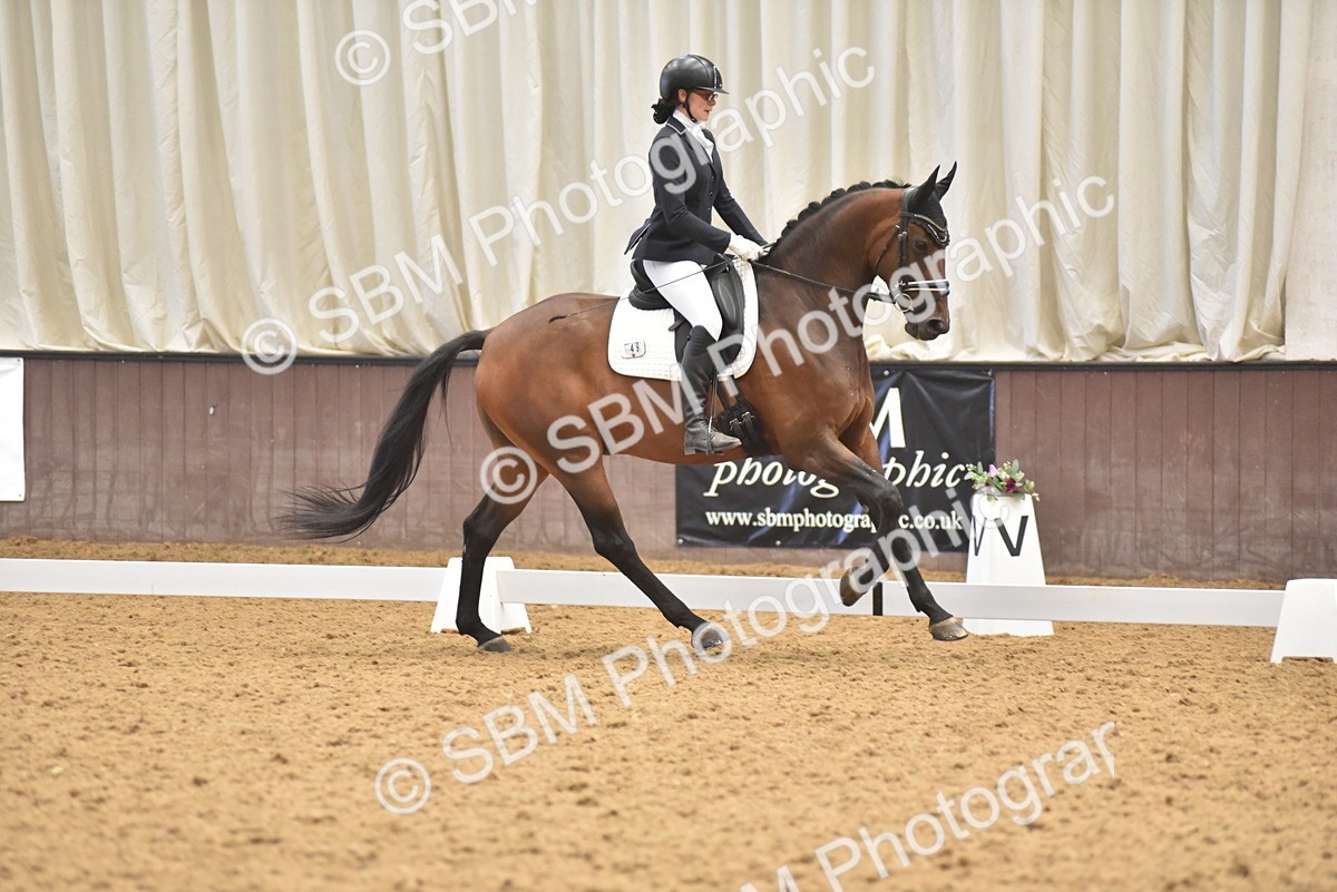 SBM_010993 - Class 8 - Novice 5