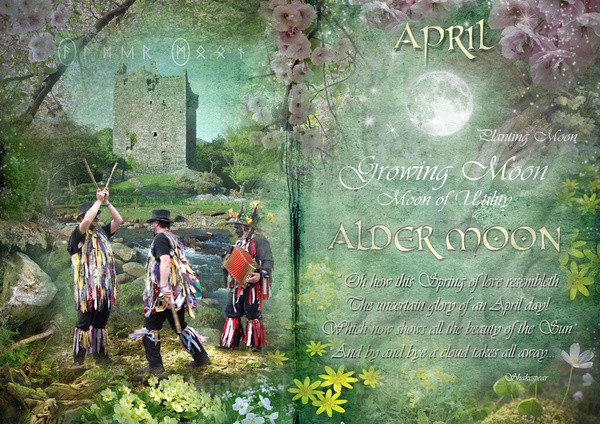April : Alder Moon - The Wheel of the Year