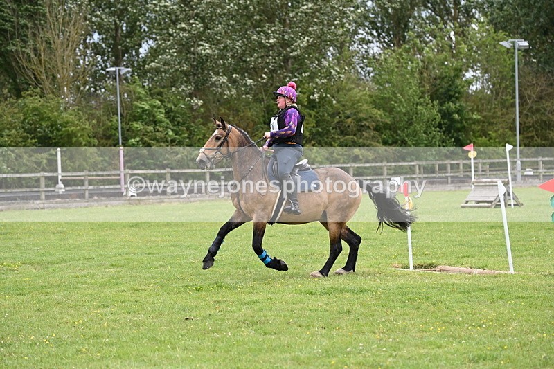 WJ6_3901 - Class 6 80cm