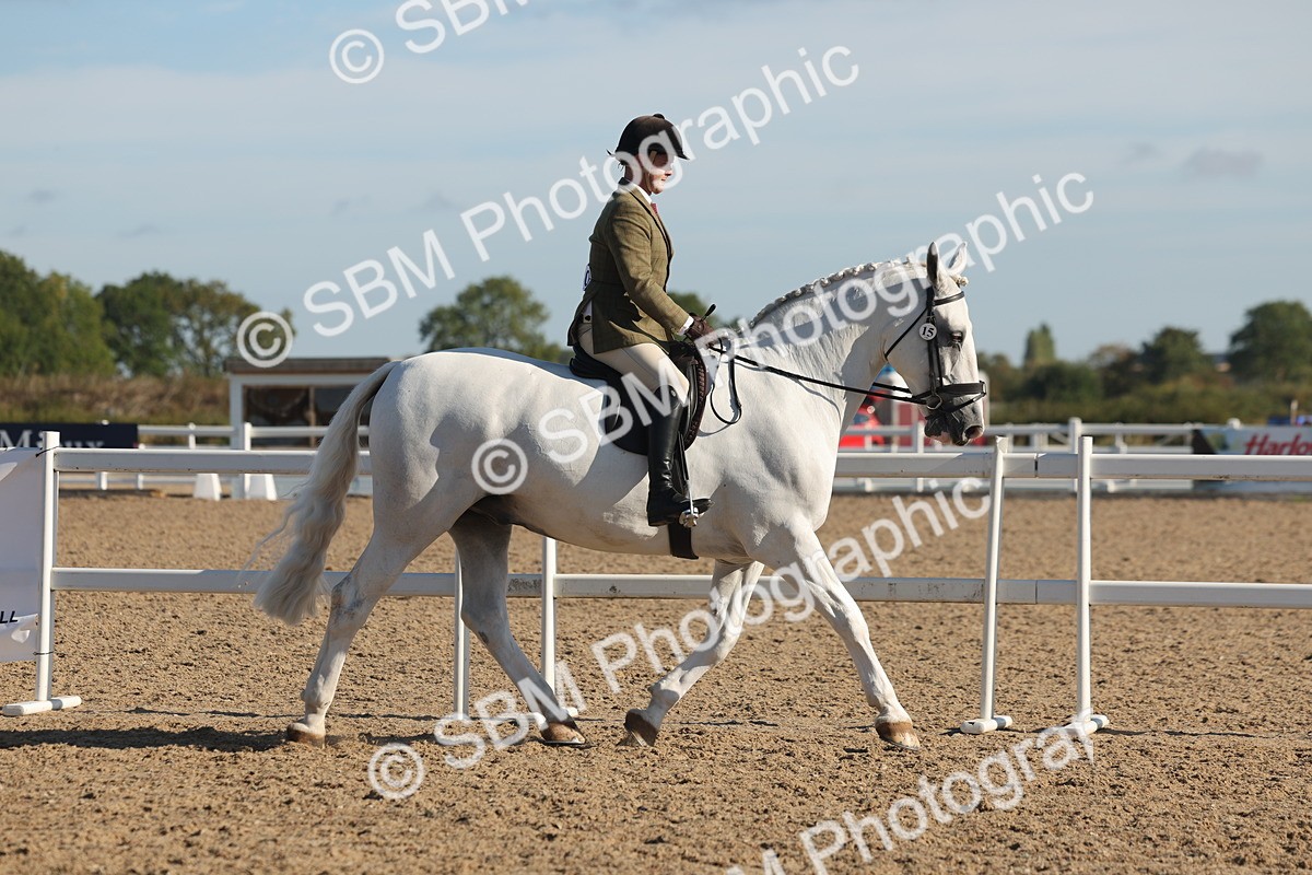 SBM_12159 - Class 303 - Ridden Pure Bred Horse Pony