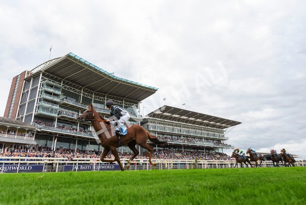 230923-Race 2-Palamon-3196 - Race 2 2.35pm jigsawsportsbranding.co.uk Handicap