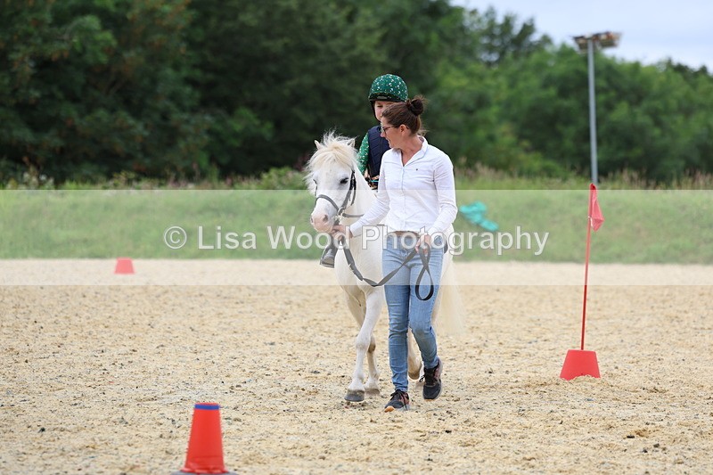 3E7A9340 - Walk trot run