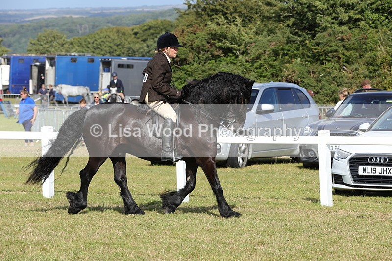 1X9A5944 - Class 42: NPS Dales, Fell, Highland