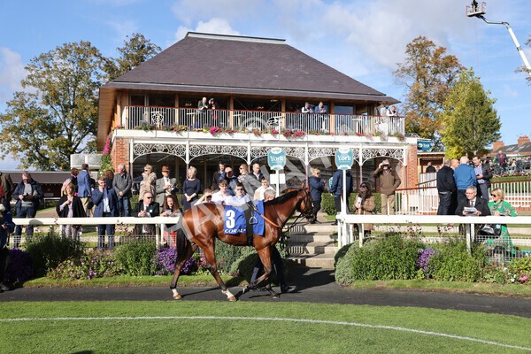 yr08102022r2-3 - Race 2 2.05pm The Coral Rockingham Stakes