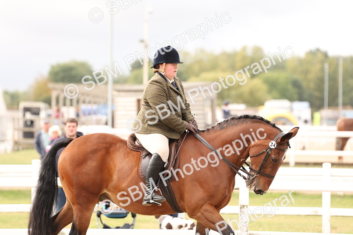 SBM_01606 - Class 52 - Ridden Veteran