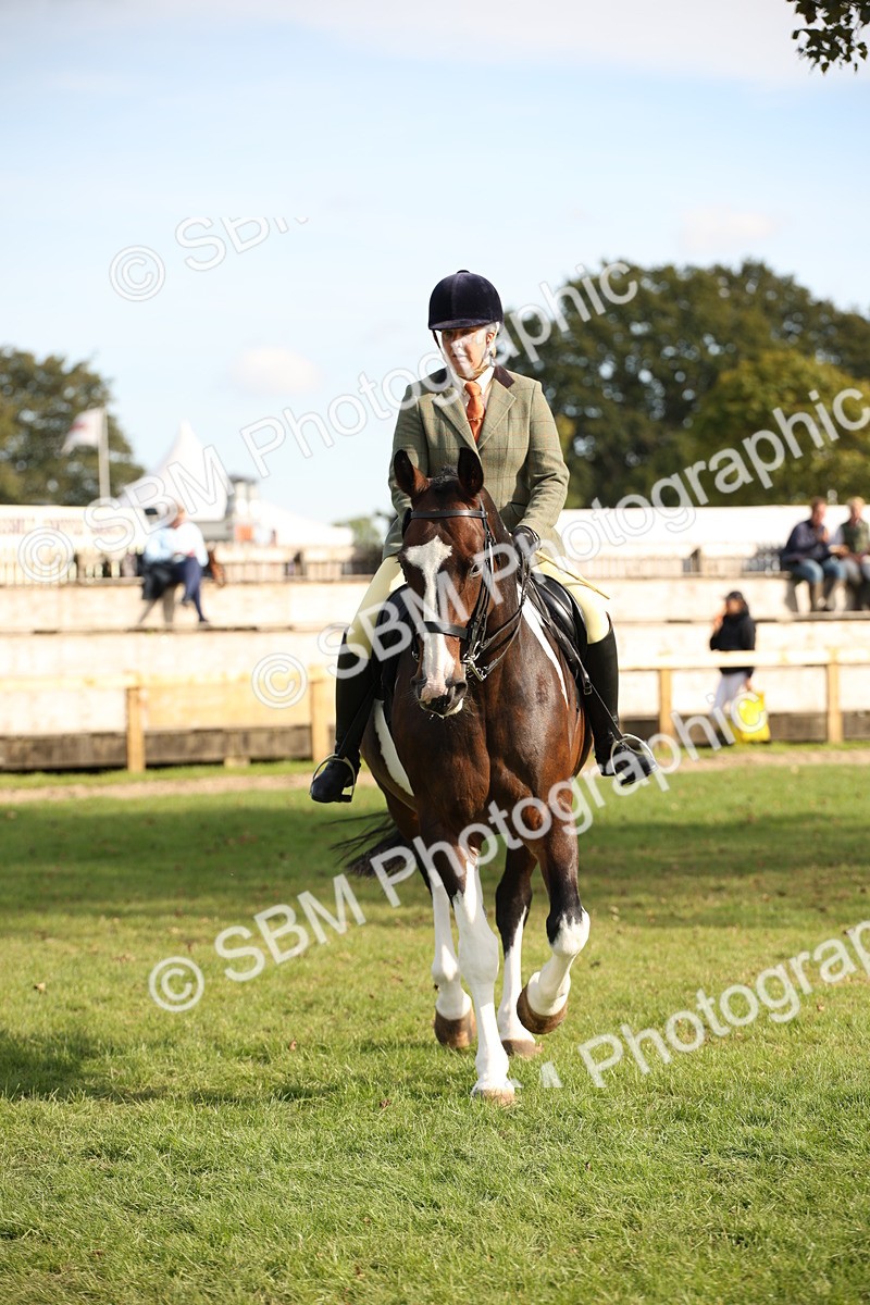 SBM_50174 - S26 - Young Veteran - Ridden