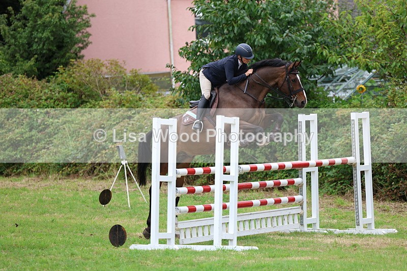 3E7A8310 - Class 8: Senior Foxhunter/1.20m open