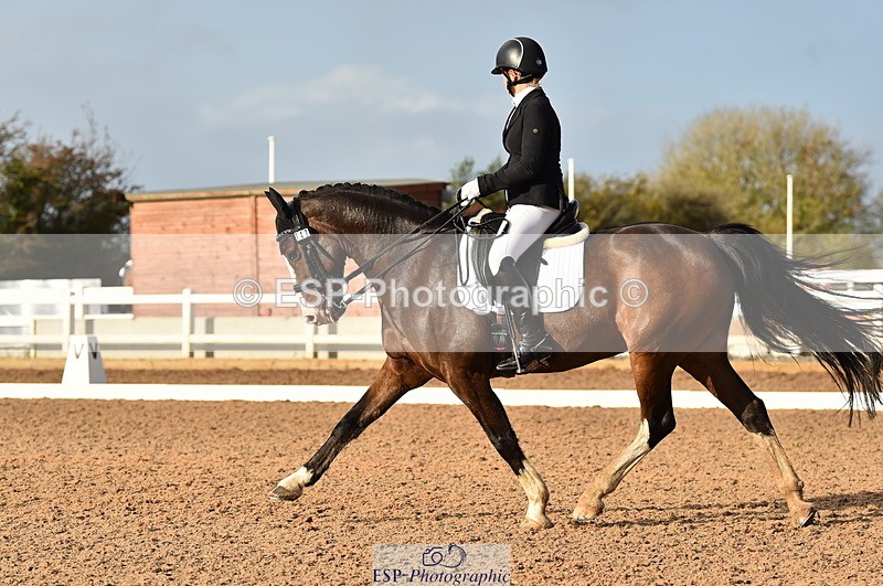 231104A-135906-01983 - Cls 10 Medium 61