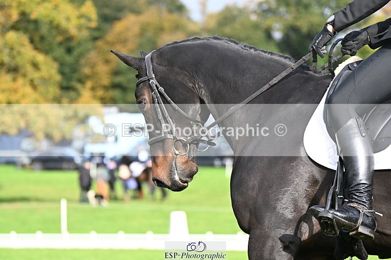 251023A-103923-02563 - G-508-Charlotte.Lee