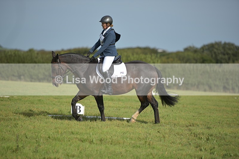 RAY_7801 - Class 2B: Trekenning Open: Dressage
