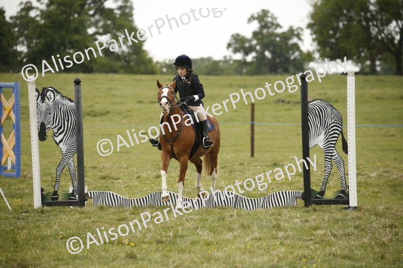 20250517-0778 - Class 2 - 30cm Off Lead Rein