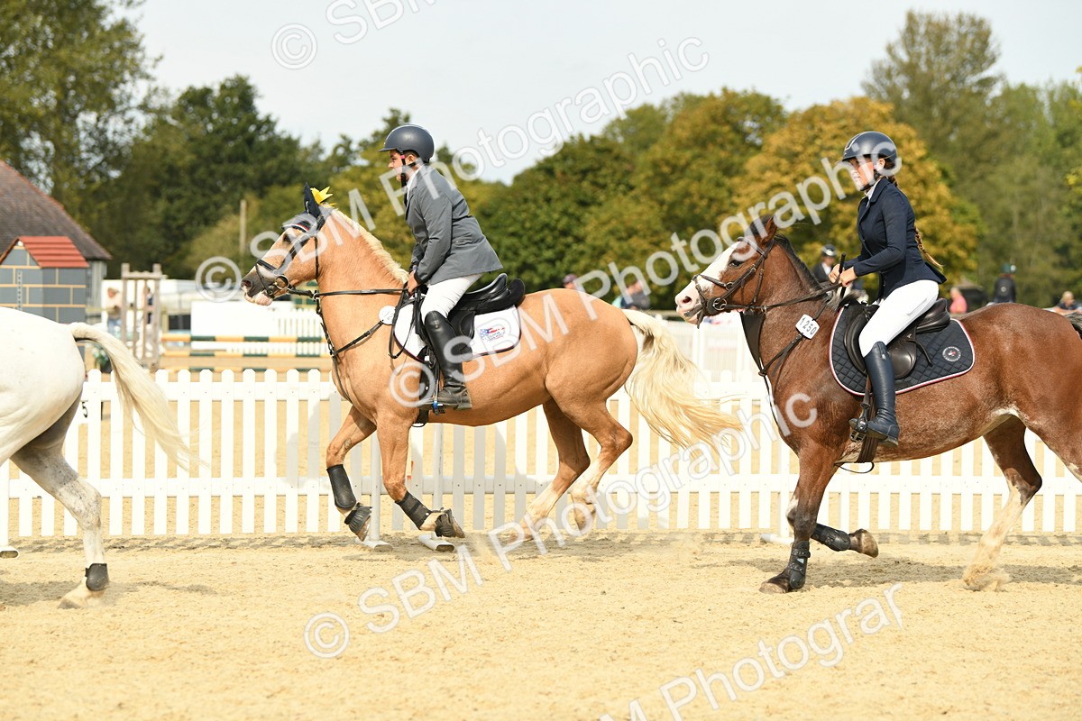 SBM_65319 - J48 - Pairs Jumping Open 70cm & 85cm