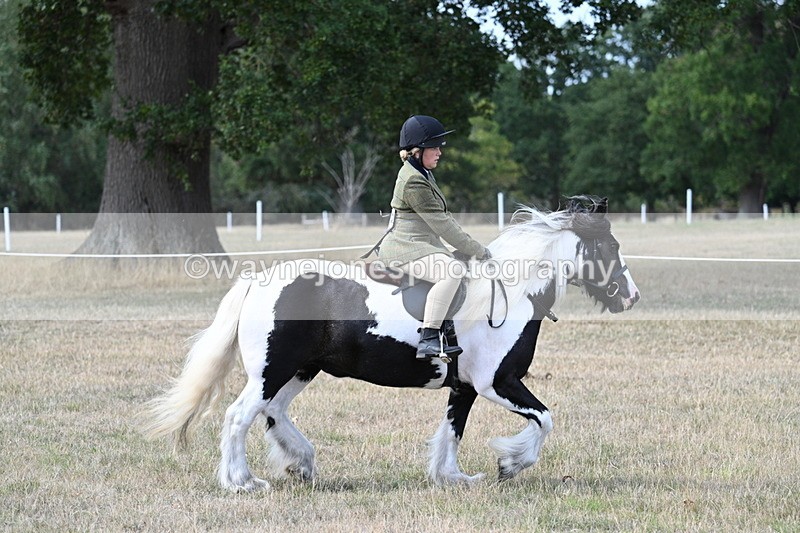 WJ7_7103 - Class 14 Ridden Coloured