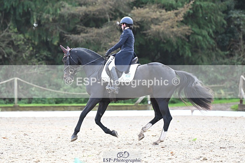 231019-143914-04243 - 054-PORSCHE-Coco.Lanni-DR