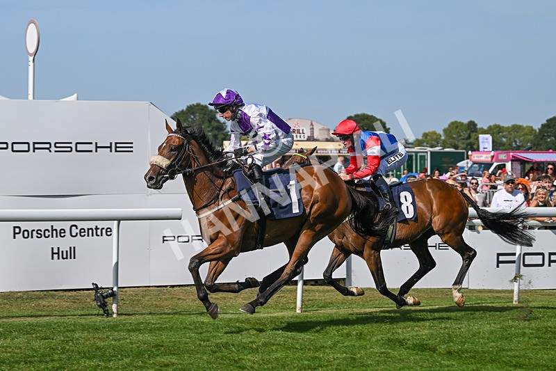 130825-Race 4-Dumfries-8551 - Race 4