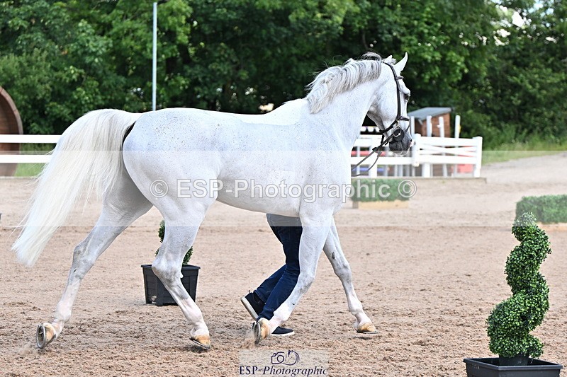 240718A-105252-01275 - Trot Up 12pm to 1pm