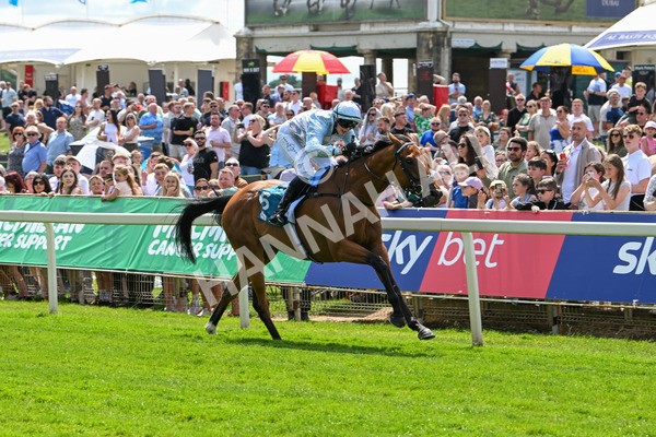 140625-Race 2-My Dream World-2320 - Race 2 2.25pm Queen Mother's Cup Handicap