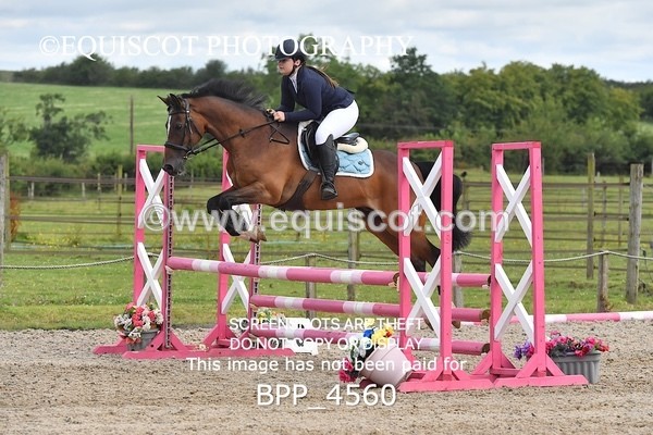 BPP_4560 - CLASS 2 Club/ Unaffiliated 80cms Open